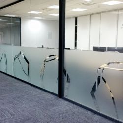 folia mro  ona na szkle 1